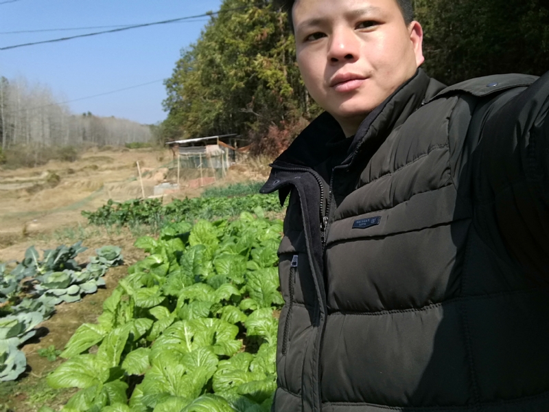 倔强的驴的第一张照片--盐城相亲服务中心