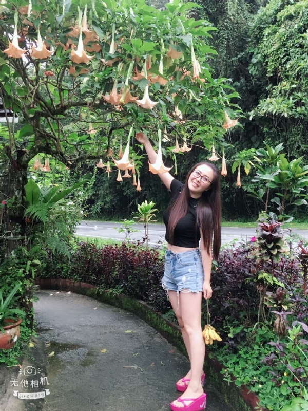 离异单身无子的第二张照片--盐城相亲服务中心