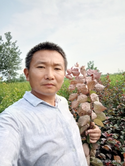孩子爸的第一张照片--盐城相亲服务中心