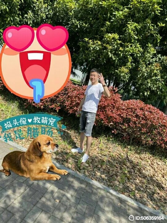 我若不坚强谁替我勇敢的第五张照片--盐城相亲服务中心