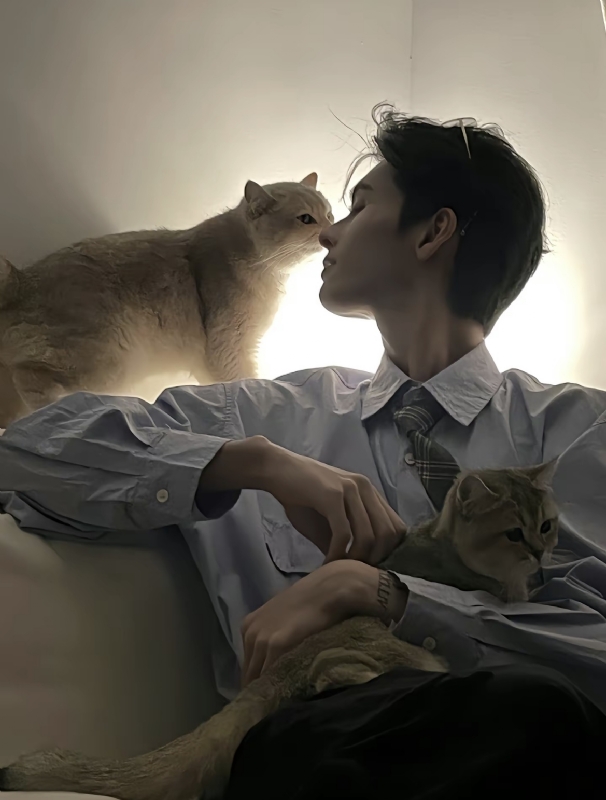 怪猫的第一张照片--盐城相亲服务中心