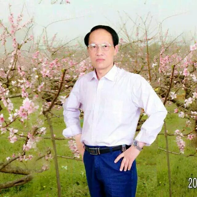 枫叶的第一张照片--盐城相亲服务中心